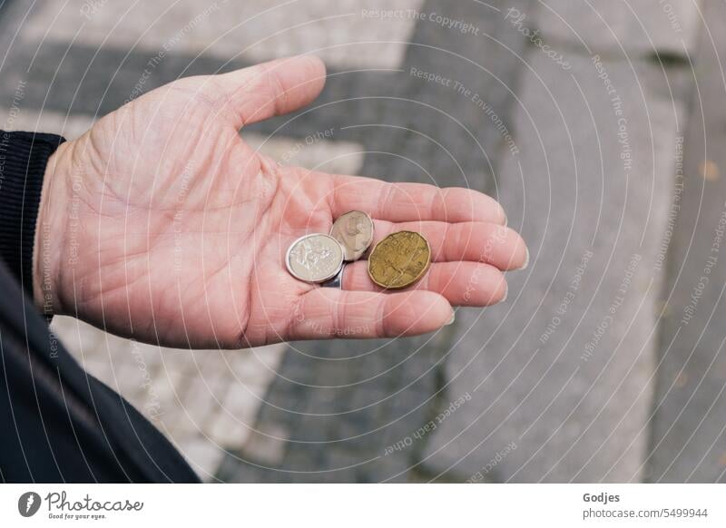 Geldmünzen (tschechische Kronen) auf der offenen Hand Geldstücke tscheckische Kronen Finanzen bezahlen Bargeld Kapitalwirtschaft Investition Einkommen Gewinn