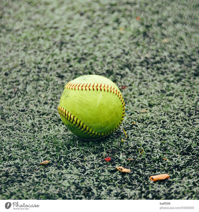 gelber baseball / softball auf grünem Rasen Softball Baseball rasensport Sport Ball Gras Spielen Freizeit & Hobby Wiese Stadion Sportstätten Sportrasen