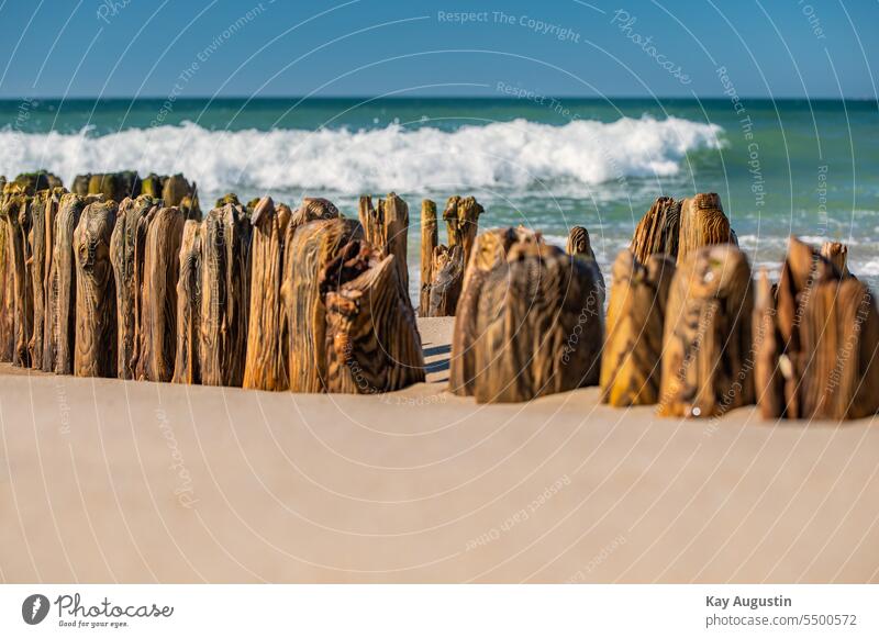 Strukturen an einer alten Buhne Alte Buhne Maserung Detail Küstenschutz Wellenbrecher Dünung Brandung Nordsee Meer Holzpfähle Wasserspitzer gischt Sommer Weite