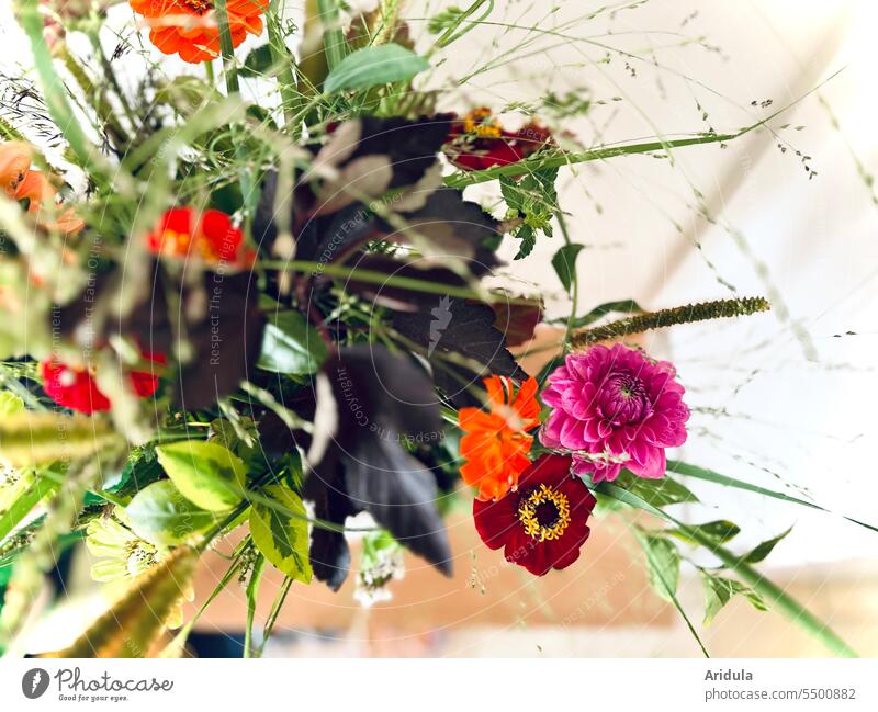 Spätsommerblumenstrauß Blumen Blumenstrauß Sommer Gräser Dekoration & Verzierung Blüte Dahlie Zinnie Vase rosa Pink orange