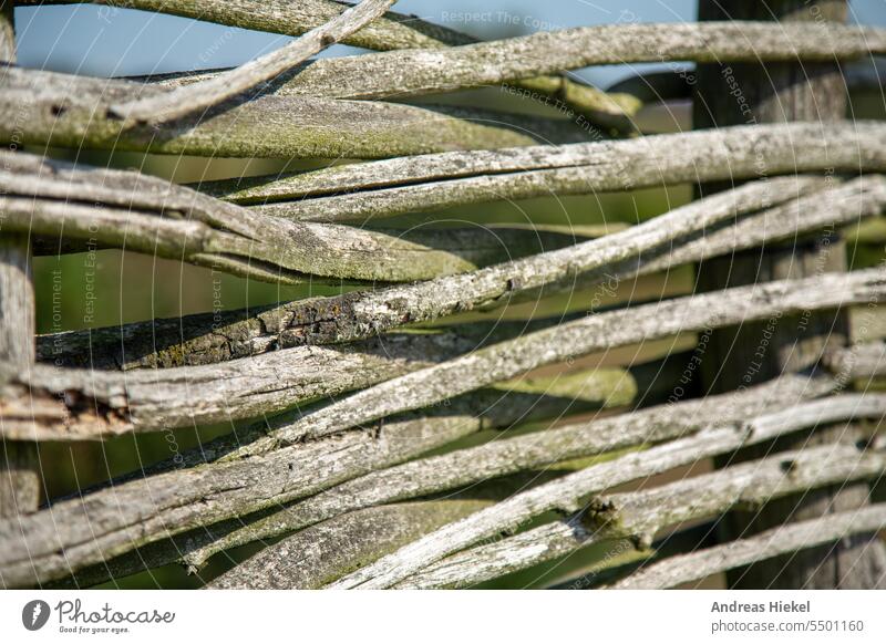 Verwitterter Holzzaun Naturzaun naturholz verwittert verwitterung weidezaun slawen mittelalter siedlung einfriedung