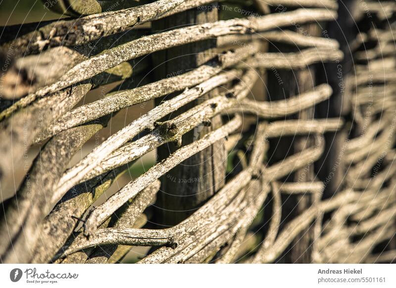 Verwitterter Zaun Geflecht mittelalter slawen zaun einfriedung palisade geflecht verwittert verwitterung holz wand natur nachhaltig abbaubar winter flechten