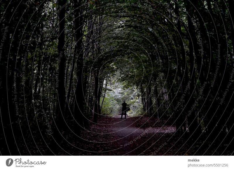 Parallelwelt | Der Tunnel hinein Licht Tunnelblick Wege & Pfade Durchgang Schatten Silhouette Fußgänger Gegenlicht Mensch dunkel Wald Waldweg Gang