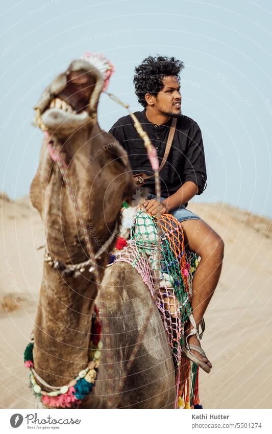 ein junger Mann sitz auf einem Kamel welches ein lustiges Gesicht macht Porträt Ein Tier Wüste draußen Indien Sahara tiere Ferien & Urlaub & Reisen Tourismus