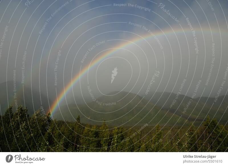 Alaska | Regenbogenlandschaft Berge Wald bewaldet Sonne doppelter Regenbogen blau grün regenbogenfarben Wetter Natur Landschaft Wildnis einsam