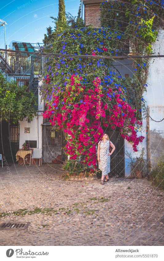 blonde Frau mittleren Alters mit Kleid steht unter einer riesigen purpur blühenden Pflanze an einem Haus in Spanien Sommer Andalusien Granada Bougainvillea lila