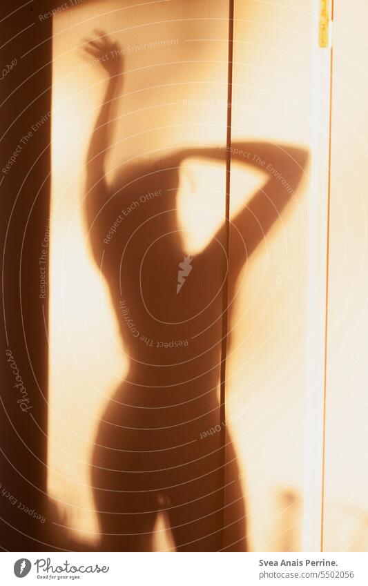 Schattenspiel in der Sonne Schattenbild Frau weiblich Erotik Licht Lichterscheinung Sonnenlicht Innenaufnahme Farbfoto Licht & Schatten Silhouette Schattenwurf
