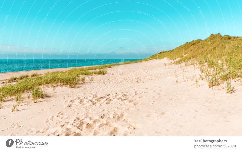 Sylter Inselstrand unter blauem Himmel an einem sonnigen Tag Herbst Hintergrund Strand schön Schönheit hell Küste Küstenlinie Farbe Dunes leer Umwelt Europa