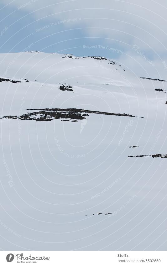 Schneelandschaft bei blauem Himmel auf Island isländisch Schneedecke Islandbild Ruhe Stille Islandwetter verschneit schneebedeckt Felsbrocken Steinhaufen