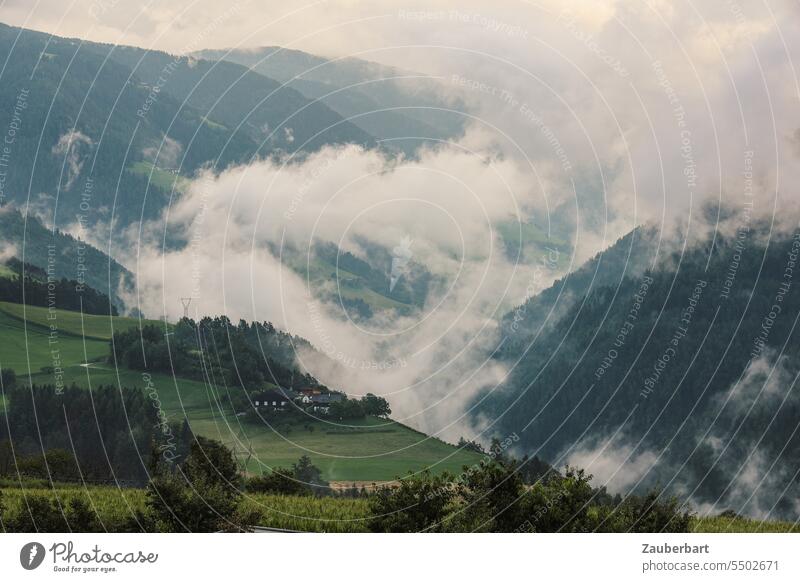Landschaft mit Hügeln, Wolken, Wiesen in Südtirol Natur Wandern Wanderlust bedeckt bewölkt regnerisch wandern Berge u. Gebirge Alpen