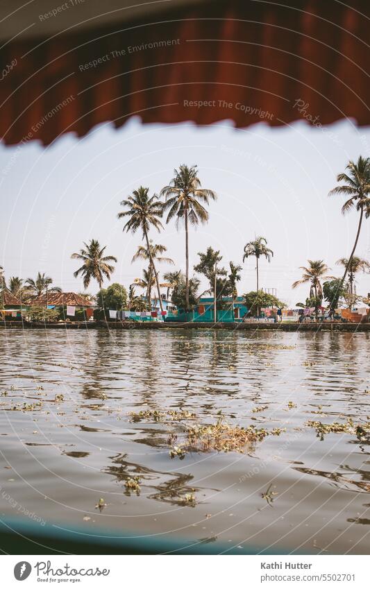kleine Häuser mit vielen Palmen hinter dem Fluss in Alappuzha Boot Kokospalme keine Menschen Natur Himmel tropisch Sommer reisen Baum Landschaft