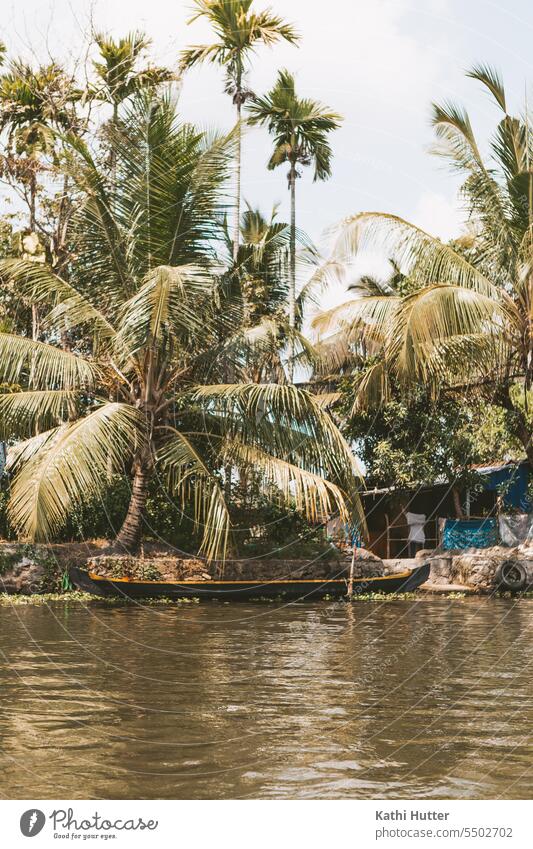 ein braunes Holzboot in den Backwaters von Alappuzha mit vielen Palmen im Hintergrund. Boot Kokospalme keine Menschen Natur Himmel tropisch Sommer reisen Baum