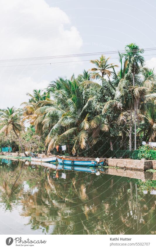 ein blau-weißes Boot in den Backwaters von Alappuzha mit vielen Palmen im Hintergrund. Kokospalme keine Menschen Natur Himmel tropisch Sommer reisen Baum