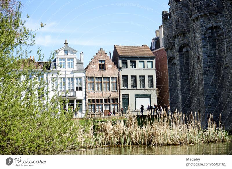 Alte schmale Häuser mit schönen Giebeln im Sonnenschein an der Burg Gravensteen an Lieve und Leie in Gent in Ostflandern in Belgien Burganlage Grafenstein
