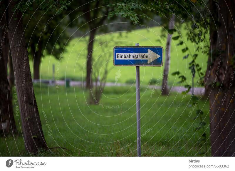 Einbahnstraße Verkehrszeichen Schilder & Markierungen Verkehrswege im Grünen Wiese Bäume ländliche Szene Verkehrsschild