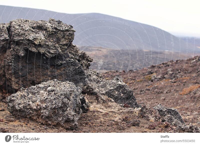 Lavahügel auf Island Nordisland Lavalandschaft Lavafeld vulkanisch Vulkangebiet isländisch Islandreise geologisch uralt Lavaformation dunkel Islandwetter