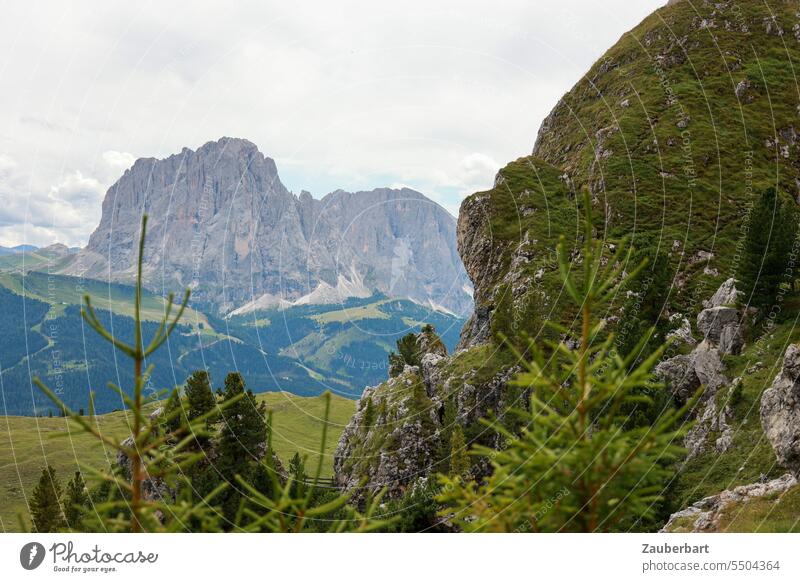 Bergpanorama, grüne Wiese mit Nadelbäumen, Himmel mit Wolken Alpen Panorama Gipfel Landschaft Südtirol wandern wanderlust Wandertag Aussicht Berge u. Gebirge