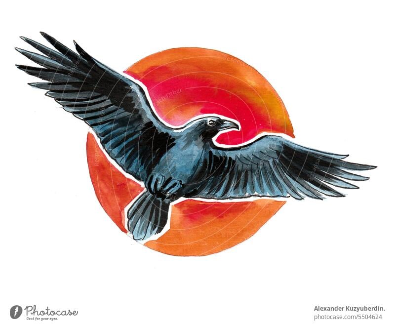 Rabe und Sonne Tusche- und Aquarellzeichnung Tier Vogel schwarz Krähe dunkel Feder fliegen Symbol Tattoo Wasserfarbe Tierwelt Flügel
