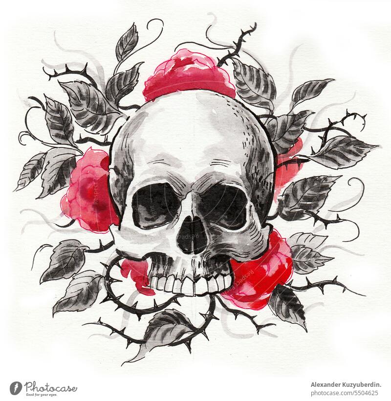 Totenkopf und wilde Rosen Tusche- und Aquarellzeichnung Hintergrund Knochen tot Tod Dekoration & Verzierung Design Zeichnung gezeichnet Element geblümt Blume