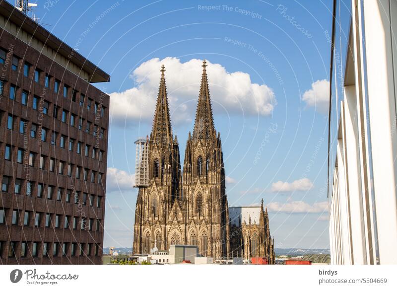 Kölner Dom Sehenswürdigkeit Wahrzeichen schönes Wetter katholisch Religion & Glaube Kirche
