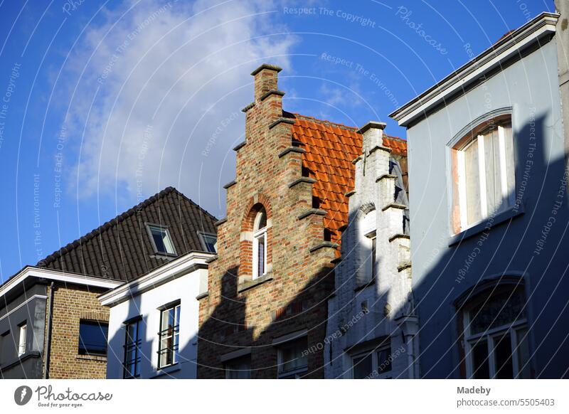 Schmale restaurierte Fassaden alter Häuser mit Treppengiebel vor blauem Himmel im Sonnenschein in der Altstadt von Brügge in Westflandern in Belgien Heimat