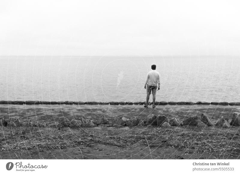 Ein Mann steht am Ufer und schaut auf das Meer Horizont Küste Insel Wasser Nordsee Himmel Rückenansicht Außenaufnahme Ferien & Urlaub & Reisen Erholung Steine