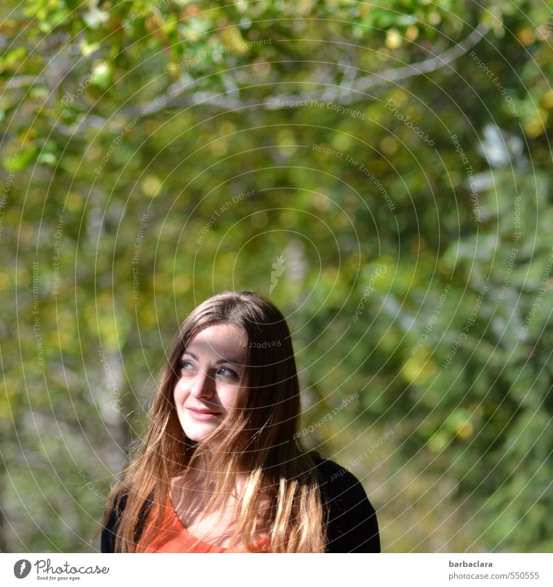 Seelenbalsam | Sonne tanken feminin Frau Erwachsene 1 Mensch 18-30 Jahre Jugendliche Natur Landschaft Pflanze Herbst Schönes Wetter Baum Sträucher Park