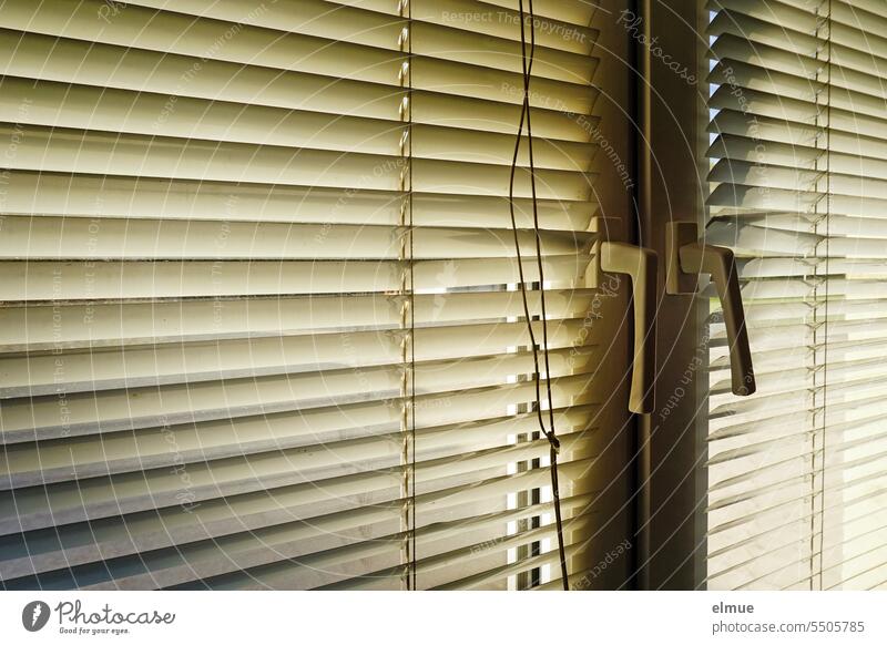 Plisseejalousie aus Aluminium vor einem Doppelfenster Jalousie Fenster Lamellenjalousie Sichtschutz Sonnenschutz Blendschutz Fenstergriff Strukturen & Formen