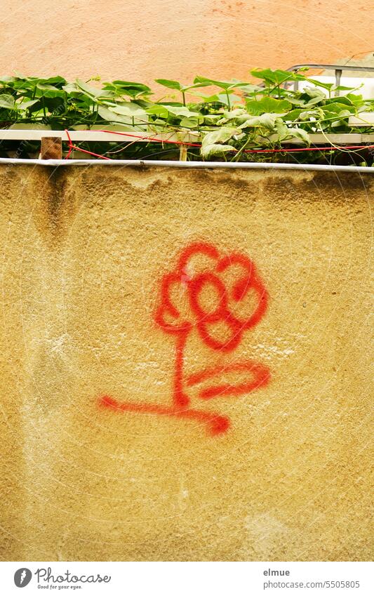 unverkäuflich I Kunstwerk - gesprayte rote Blume an einer Hauswand Graffiti Schmiererei Wandmalereien Kreativität Jugendkultur Lifestyle Straßenkunst Blog