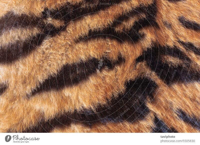 Detail eines echten Tigerfells schwarz Tigris Design Bengalen Muster Hintergrund Fell Tier Detailaufnahme wild Katze gestreift orange schön Säugetier streifen
