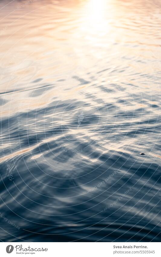 Wasser Oberfläche Wasseroberfläche See Meer Sonnenlicht Sonnenuntergang Spiegelung im Wasser Reflexion & Spiegelung Natur ruhig friedlich Menschenleer