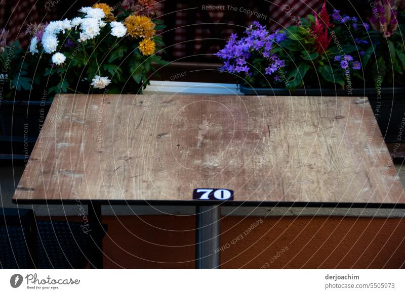 Bitte Platz nehmen.  Der Tisch Nr. 70 ist noch frei . Blumenstrauß Dekoration & Verzierung Farbfoto Menschenleer Tag Blüte Sommer schön Blühend Nr.70