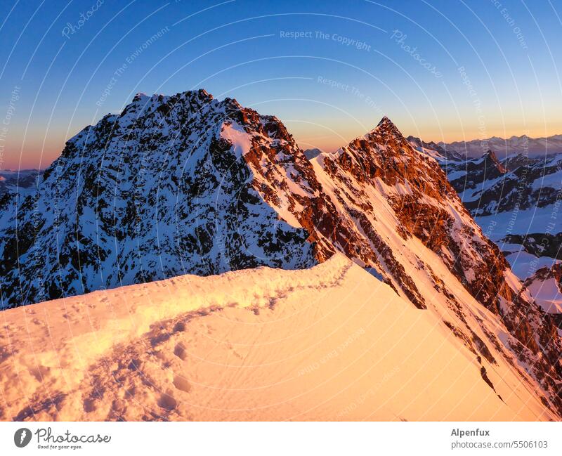 grenzwertig | Landesgrenze Bergsteigen Monte Rosa Berge u. Gebirge Gipfel Außenaufnahme Felsen Gletscher Alpen Schneebedeckte Gipfel Klettern Abenteuer