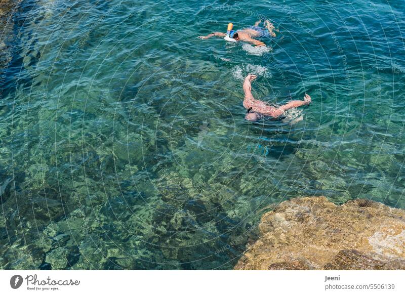 :-) 1.300 (-: zusammen auf Tauchgang tauchen Schnorcheln Freizeit & Hobby Wasser Schwimmen & Baden nass Körper Sommer sportlich blau Ferien & Urlaub & Reisen
