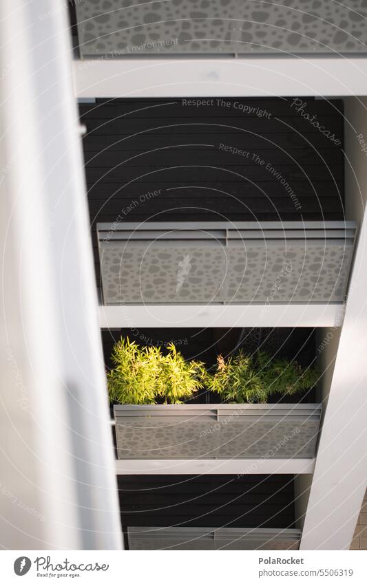 #A0# Balkonien Terrasse grün Häusliches Leben zuhause