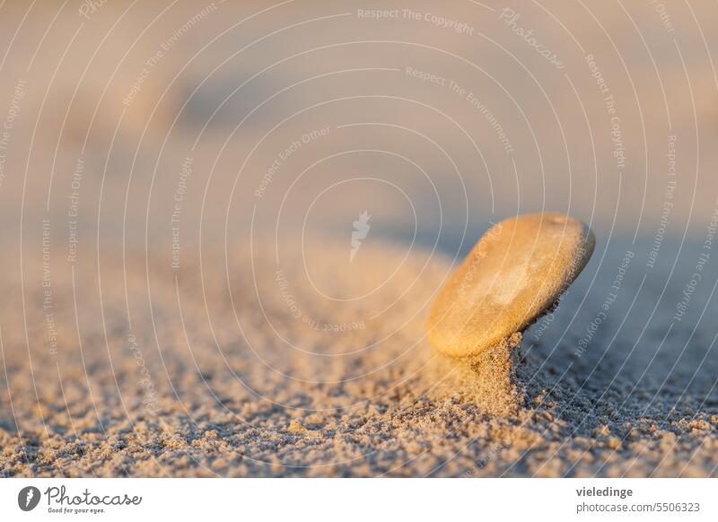 Stein am Strand Sand Sandstrand Sonne Sonnenschein abstrakt Ruhe Kiesel Kieselstein Nahaufnahme ohne Menschen Licht Schatten Unschärfe Farbfoto Außenaufnahme