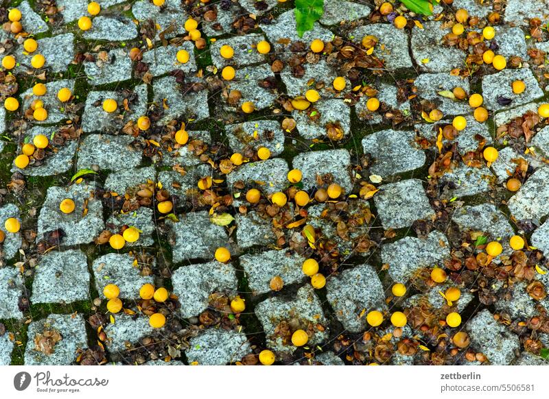 Gelbe Früchte auf dem Bürgersteig altstadt anhalt historisch historische altstadt kleinstadt licht mauer mittelalter morgen reise sachsen-anhalt sonne