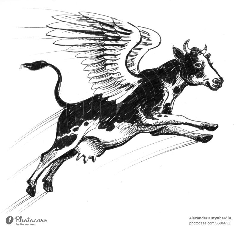 Fliegende Kuh. Tinte schwarz-weiß Zeichnung Tier Kunst Rindfleisch züchten Molkerei gezeichnet Bauernhof graphisch Hand Kopf Grafik u. Illustration Säugetier