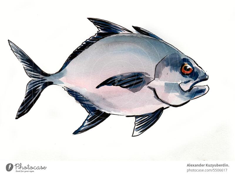 Piranha-Fisch. Tusche- und Aquarellillustration Tier aquatisch Kunst Hintergrund blau Farbe farbenfroh Design Zeichnung Grafik u. Illustration vereinzelt Leben