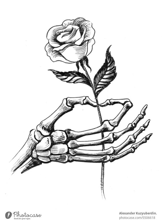 Skelett Hand mit einer Rose Kunst Kunstwerk schwarz auf weiß tot Tod Zeichnung Blume Grafik u. Illustration Roséwein Skizze Tattoo