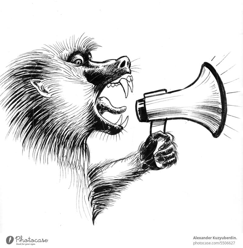 Brüllender Affe. Tinte schwarz und weiß Zeichnung Tier Kunstwerk Mitteilung Grafik u. Illustration Tusche laut Lautsprecher verrückt schreien schreiend Skizze