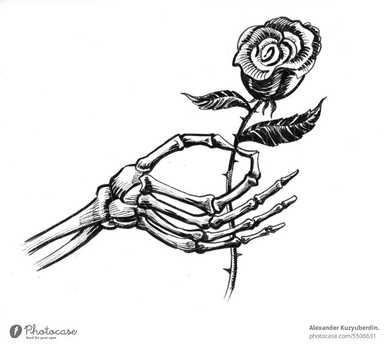 Skelett Hand mit einer Rose Kunst Kunstwerk schwarz auf weiß tot Tod Zeichnung Blume Grafik u. Illustration Roséwein Skizze Tattoo