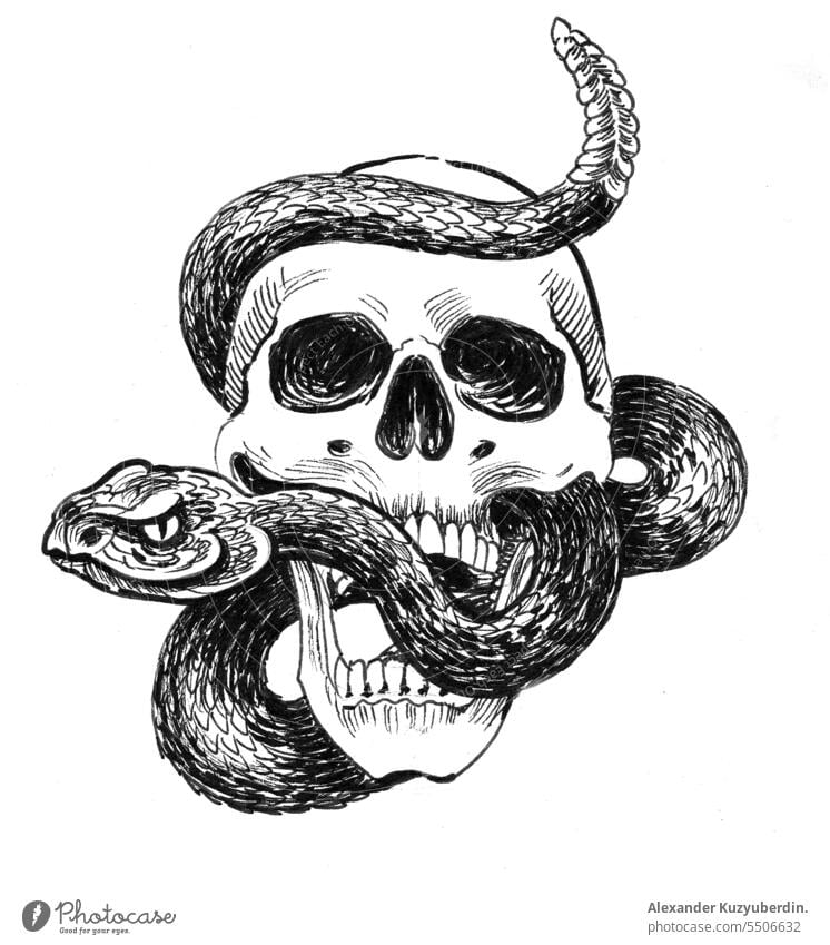 Totenkopf und Klapperschlange Kunstwerk gruselig gefährlich tot Zeichnung Grafik u. Illustration Tusche giftig Rasseln Reptil beängstigend Skelett Skizze