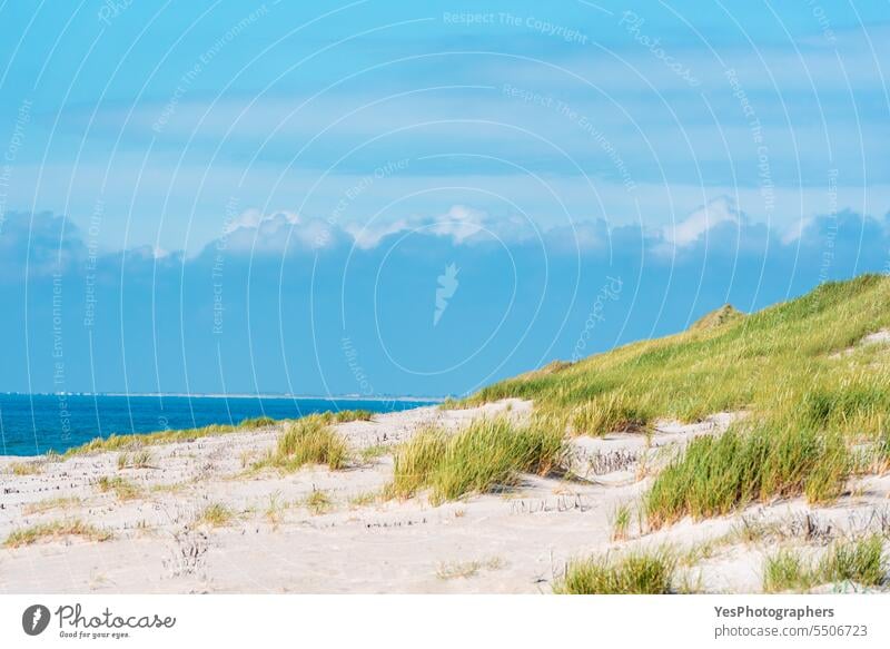 Landschaft auf der Insel Sylt mit Strandhaardünen und blauem Himmel Herbst Hintergrund schön Schönheit hell Küste Küstenlinie Farbe Dunes leer Umwelt Europa