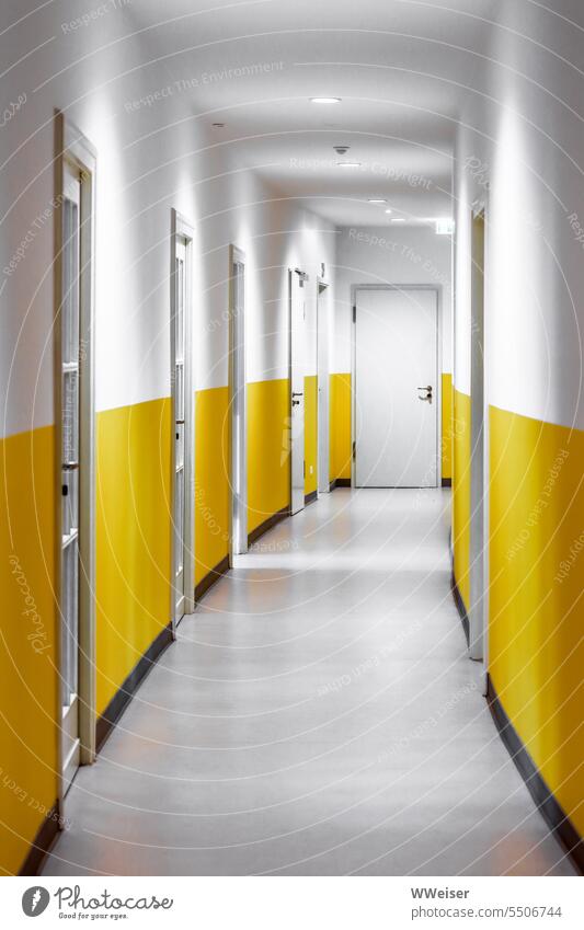 Ein gelb gestrichener, leicht gebogener Gang mit vielen Türen, die meisten sind geschlossen Korridor gehen geschwungen Farbe farbig freundlich Büros Bürogebäude