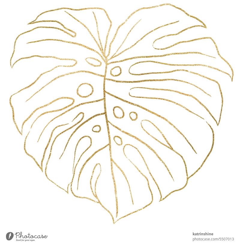 Goldene Umrisse tropischen monstera Blatt Illustration isoliert Element botanisch Dekoration & Verzierung exotisch Laubwerk handgezeichnet vereinzelt Sommer