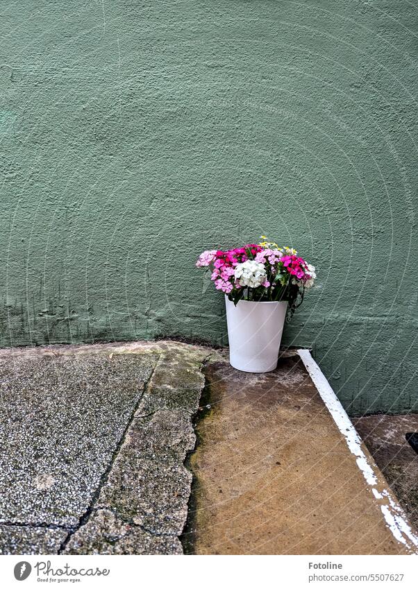 Auf einem Treppenabsatz steht eine Vase mit bunten Blumen. Die Hauswand im Hintergrund ist grün gestrichen. Vase mit Blumen Blumenstrauß Schnittblume Stufe Wand