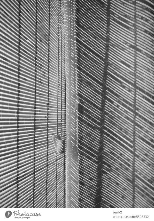 Streiflicht Fenster Jalousie Bambusrollo Sichtschutz Strukturen & Formen Rollo Schutz Streifen Linie Rollladen geschlossen Haus Licht abstrakt Lamellenjalousie