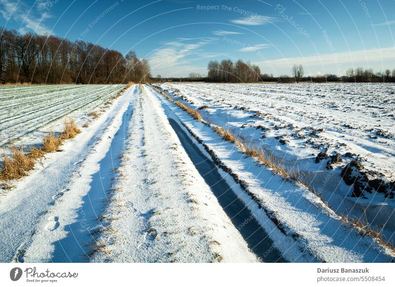 Schneebedeckte Schotterstraße durch die Felder Straße ländlich Tag Winter Natur gefroren Wetter Himmel Saison weiß kalt Landschaft Bahn Schmutz Eis im Freien