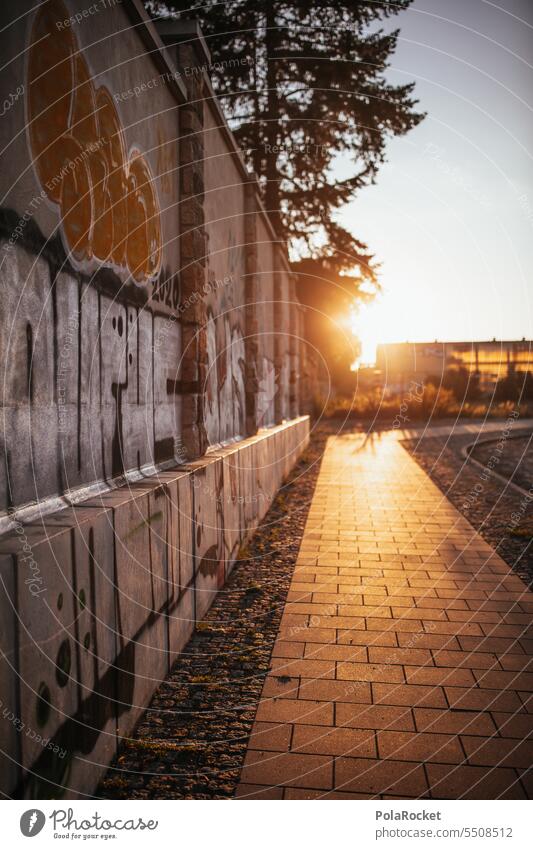 #A0# Dresden Neustadt dresden-neustadt grafitti Wall Wand Mauer Sonnenaufgang golden goldene stunde Stadt Jugendkultur verunstaltet schön urban Graffiti dreckig